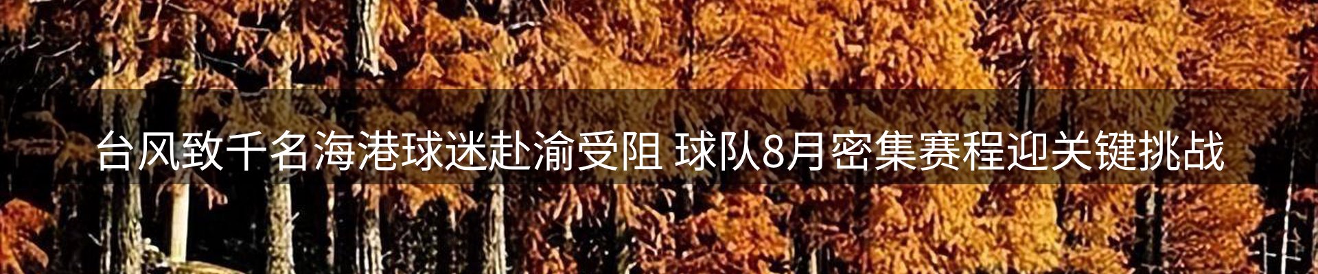 动态焦点