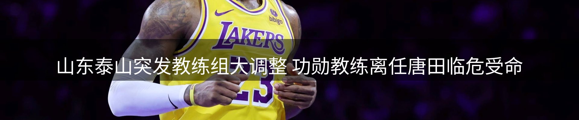 动态焦点