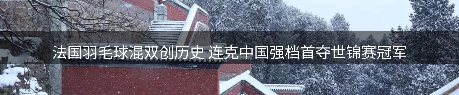 动态焦点