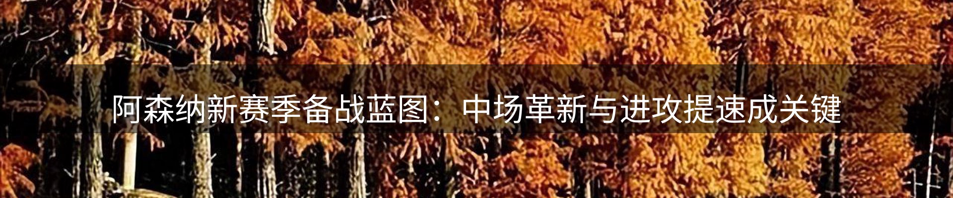 动态焦点