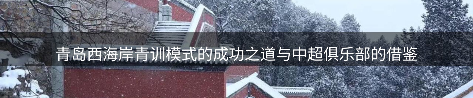 动态焦点